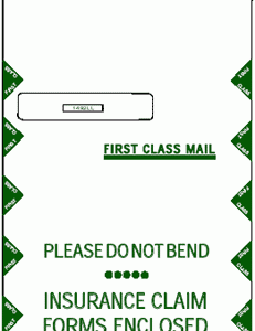 CMS-1450 JUMBO ENVELOPES